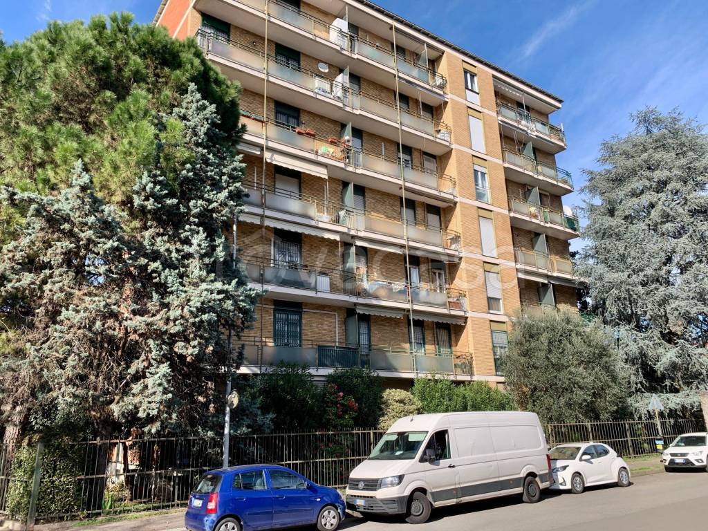 immagine annuncio 6 di 7