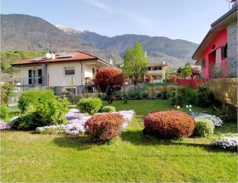 immagine annuncio 9 di 14