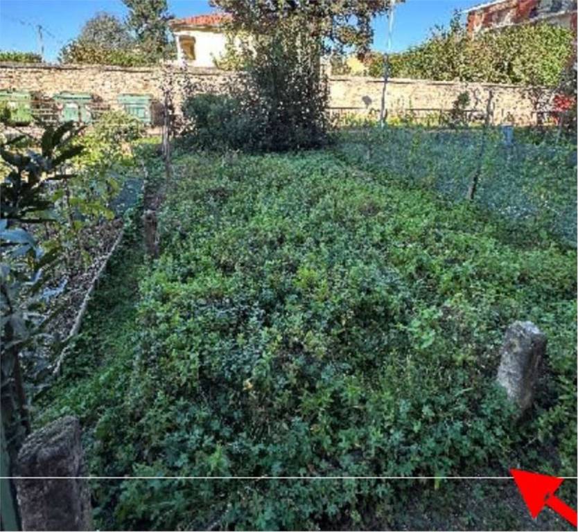 immagine annuncio 1 di 14