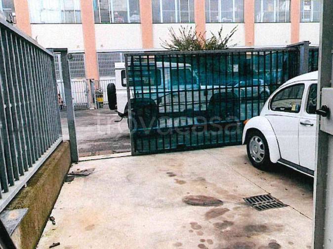 immagine annuncio 1 di 13