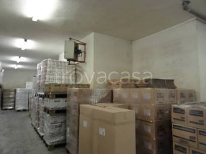 immagine annuncio 2 di 9