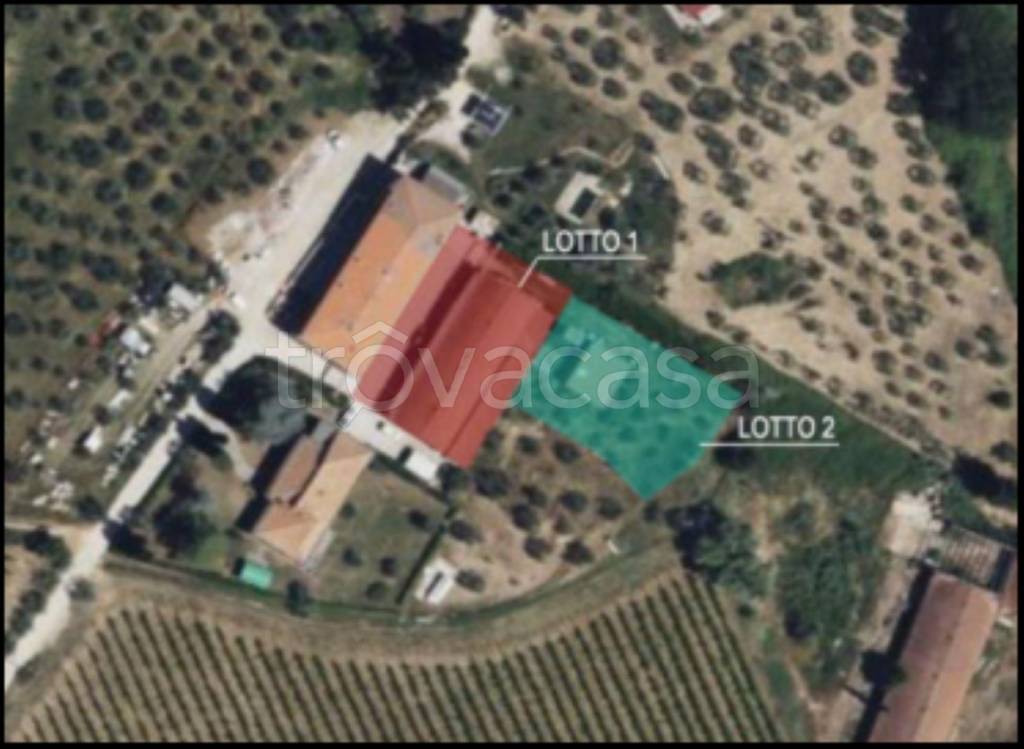 immagine annuncio 11 di 12