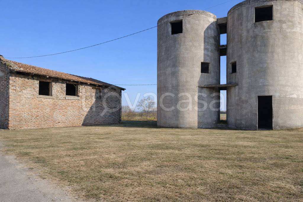 immagine annuncio 3 di 11