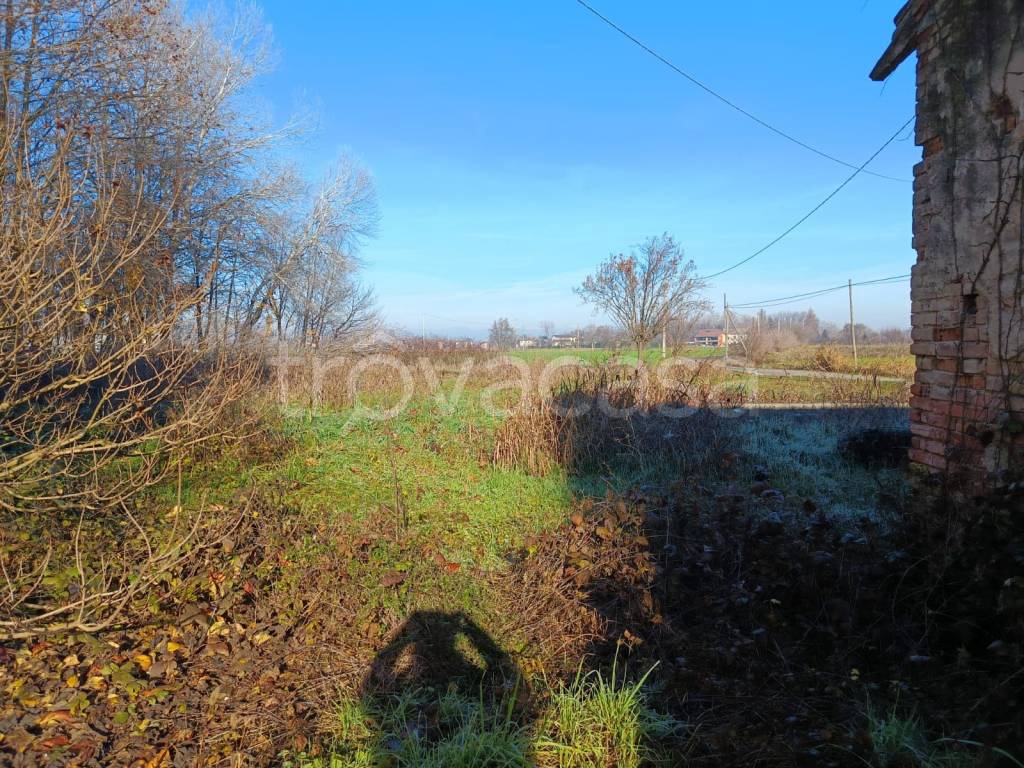 immagine annuncio 7 di 11