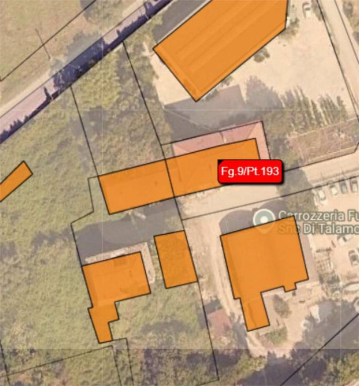 immagine annuncio 11 di 13