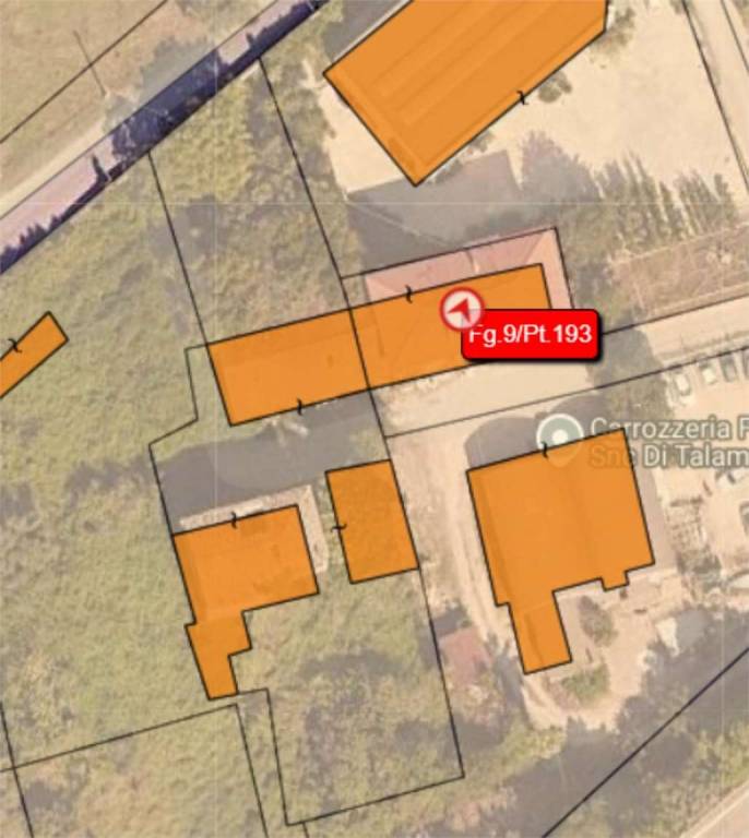 immagine annuncio 12 di 13