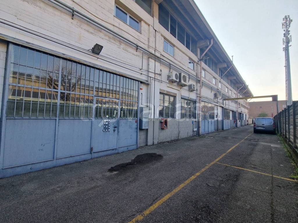 immagine annuncio 1 di 11