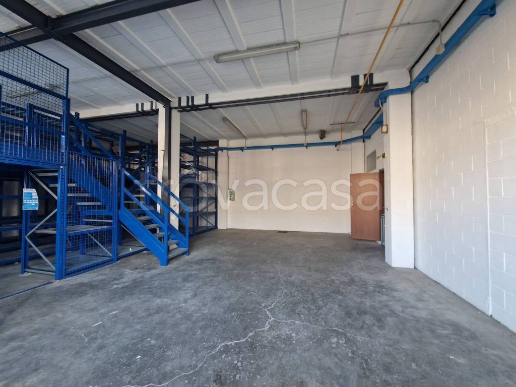 immagine annuncio 6 di 11