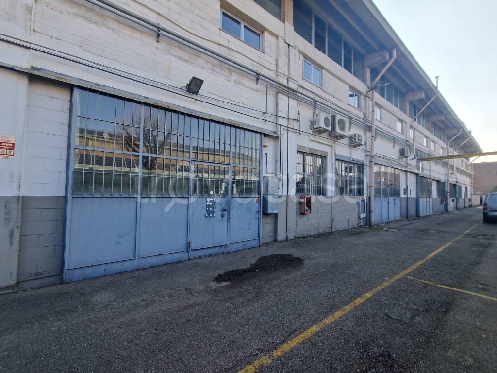 immagine annuncio 10 di 11