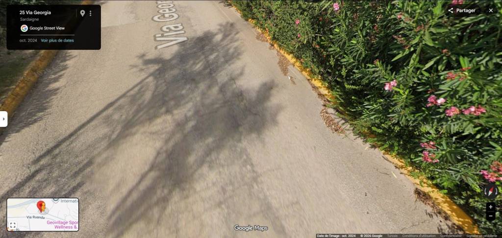 immagine annuncio 9 di 12