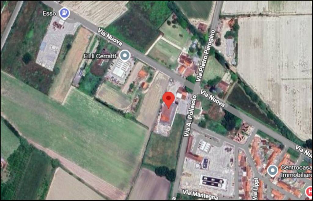 immagine annuncio 11 di 12