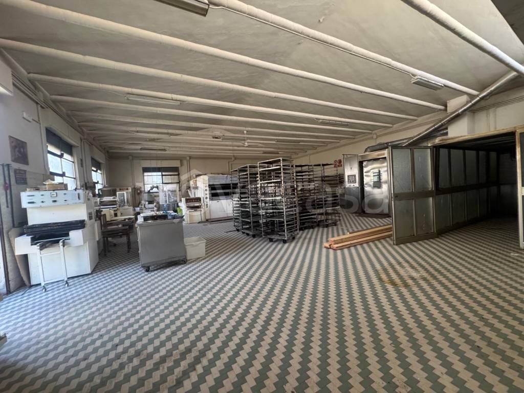 immagine annuncio 13 di 15