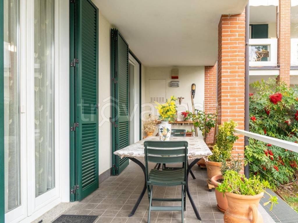 immagine annuncio 1 di 15