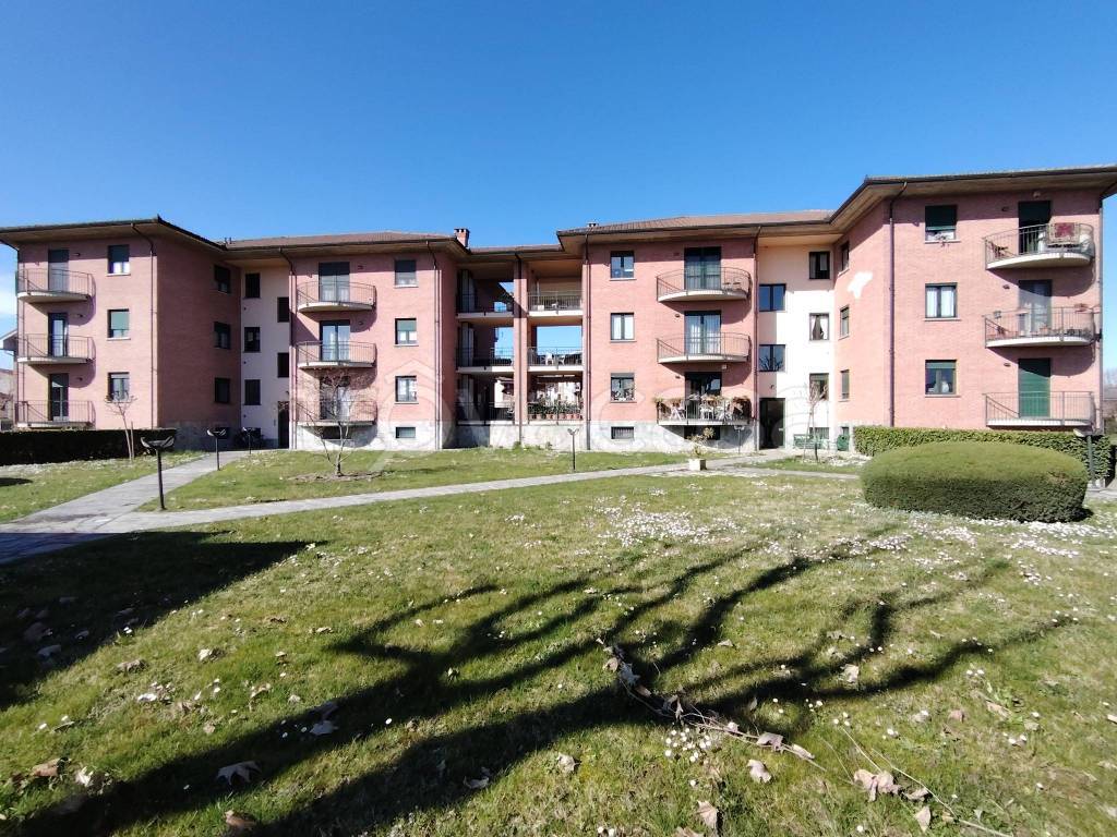 immagine annuncio 1 di 15