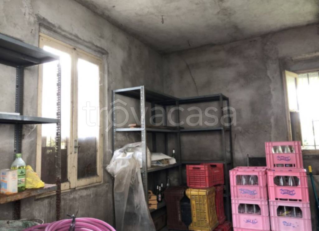 immagine annuncio 4 di 11