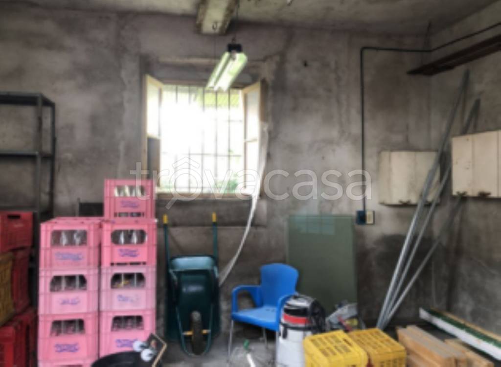 immagine annuncio 5 di 11