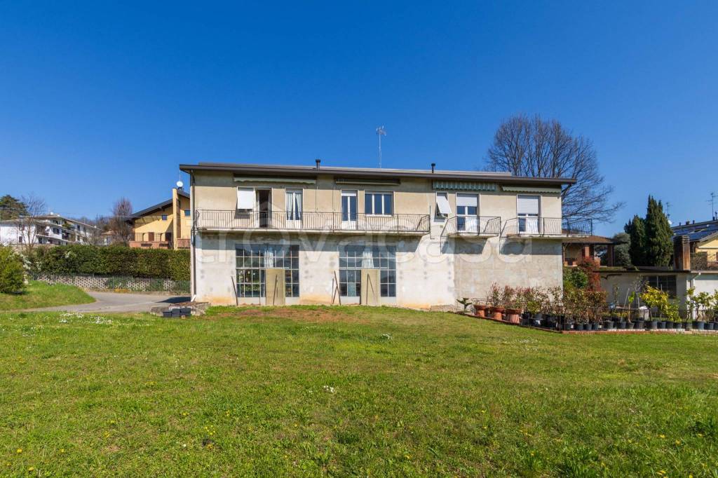 immagine annuncio 10 di 15