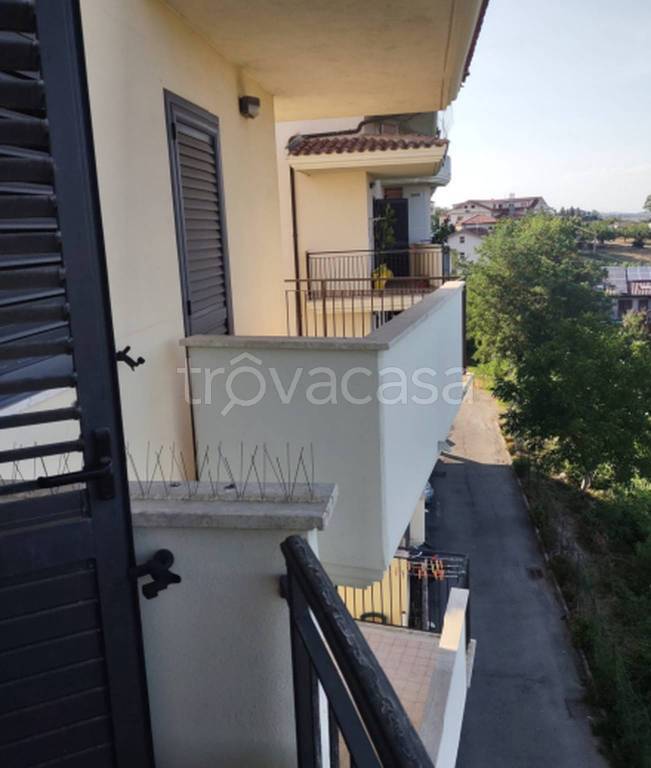 immagine annuncio 8 di 11