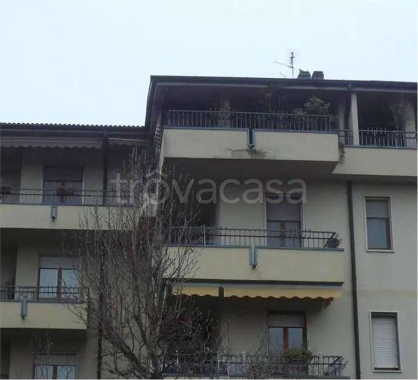 immagine annuncio 8 di 11