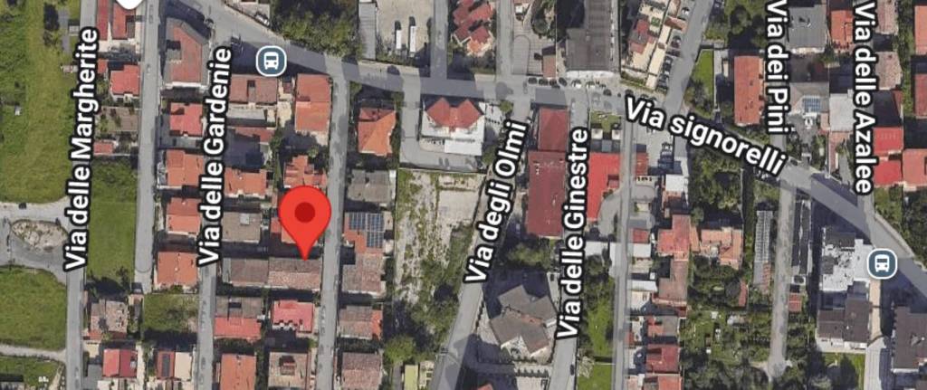 immagine annuncio 5 di 11