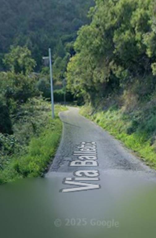 immagine annuncio 5 di 12