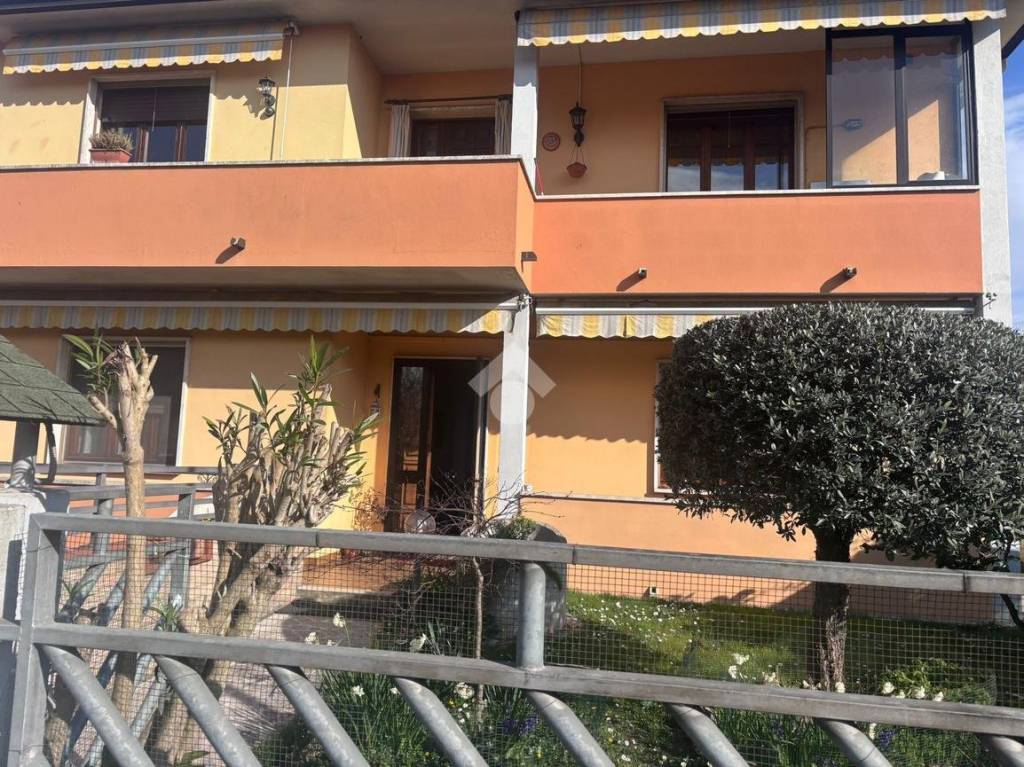 immagine annuncio 2 di 15