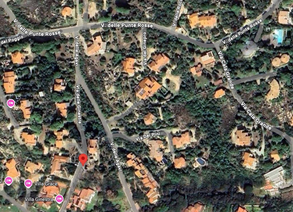 immagine annuncio 9 di 12