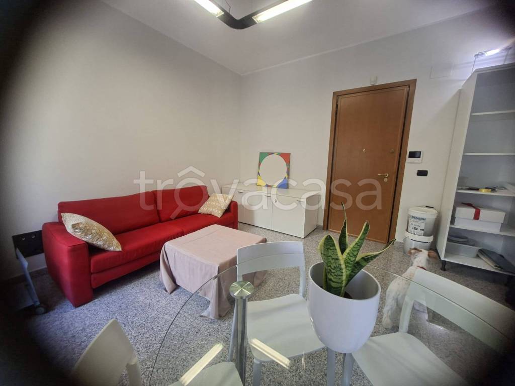 immagine annuncio 5 di 12