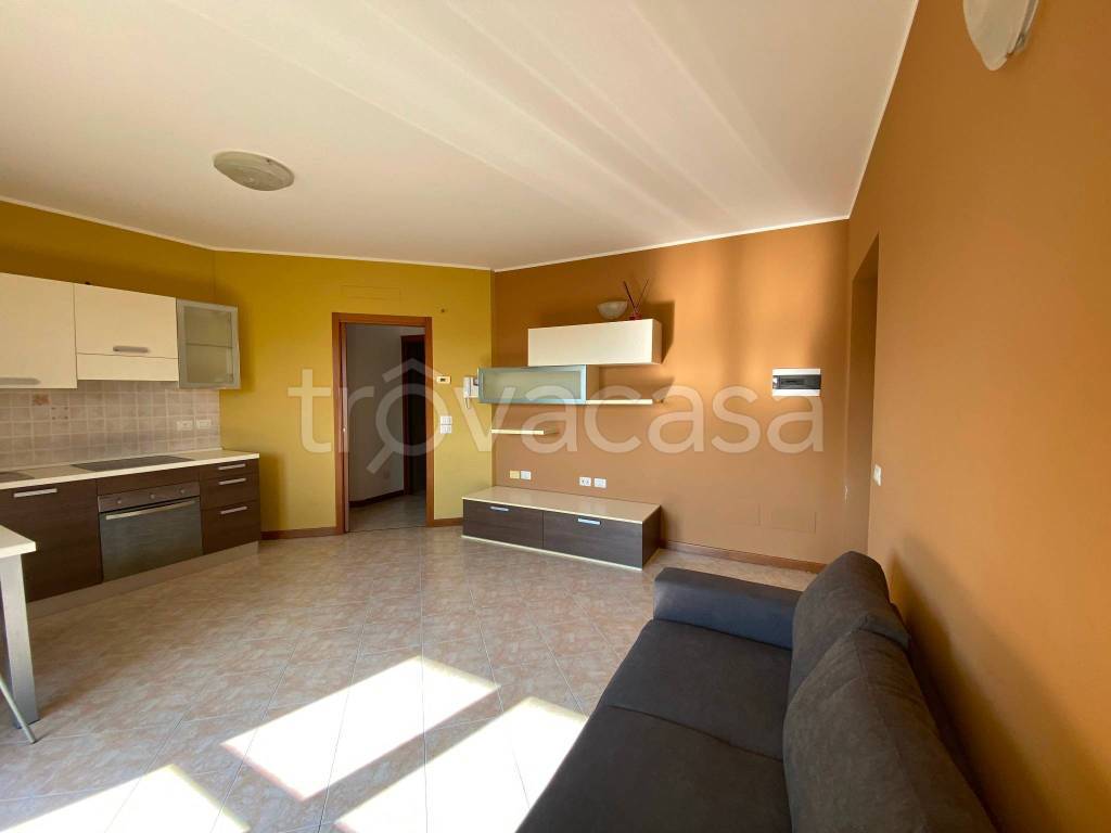 immagine annuncio 2 di 9