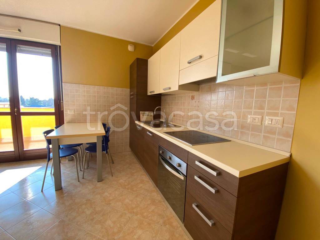 immagine annuncio 3 di 9