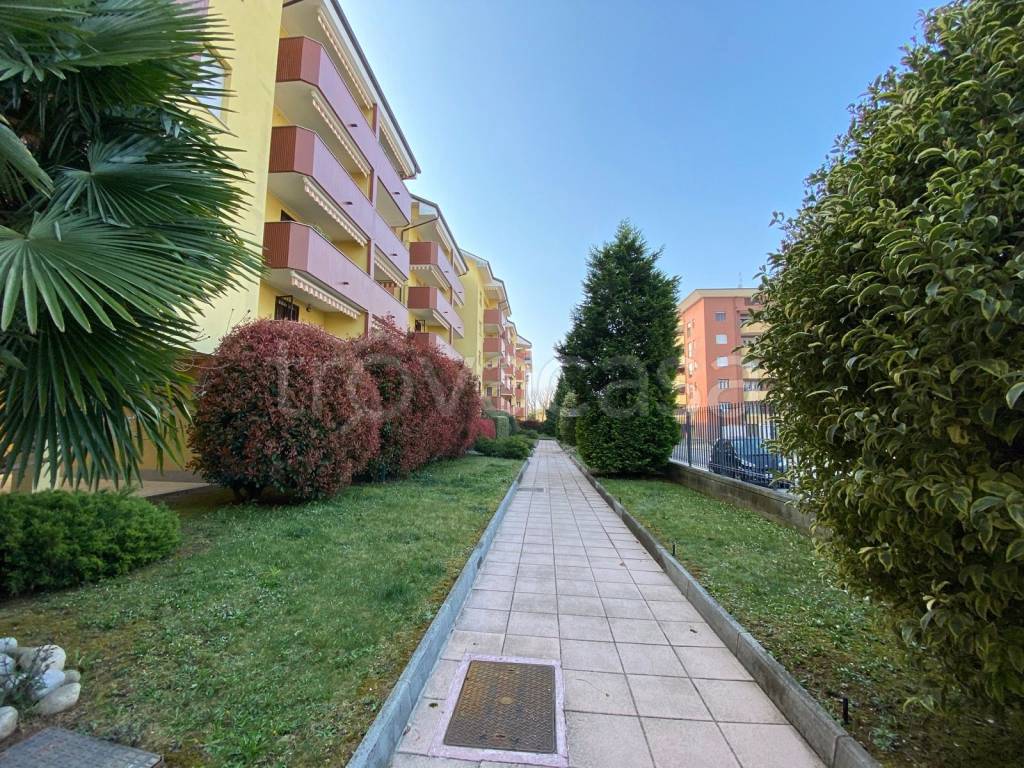 immagine annuncio 8 di 9