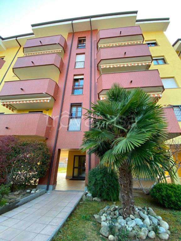 immagine annuncio 7 di 9