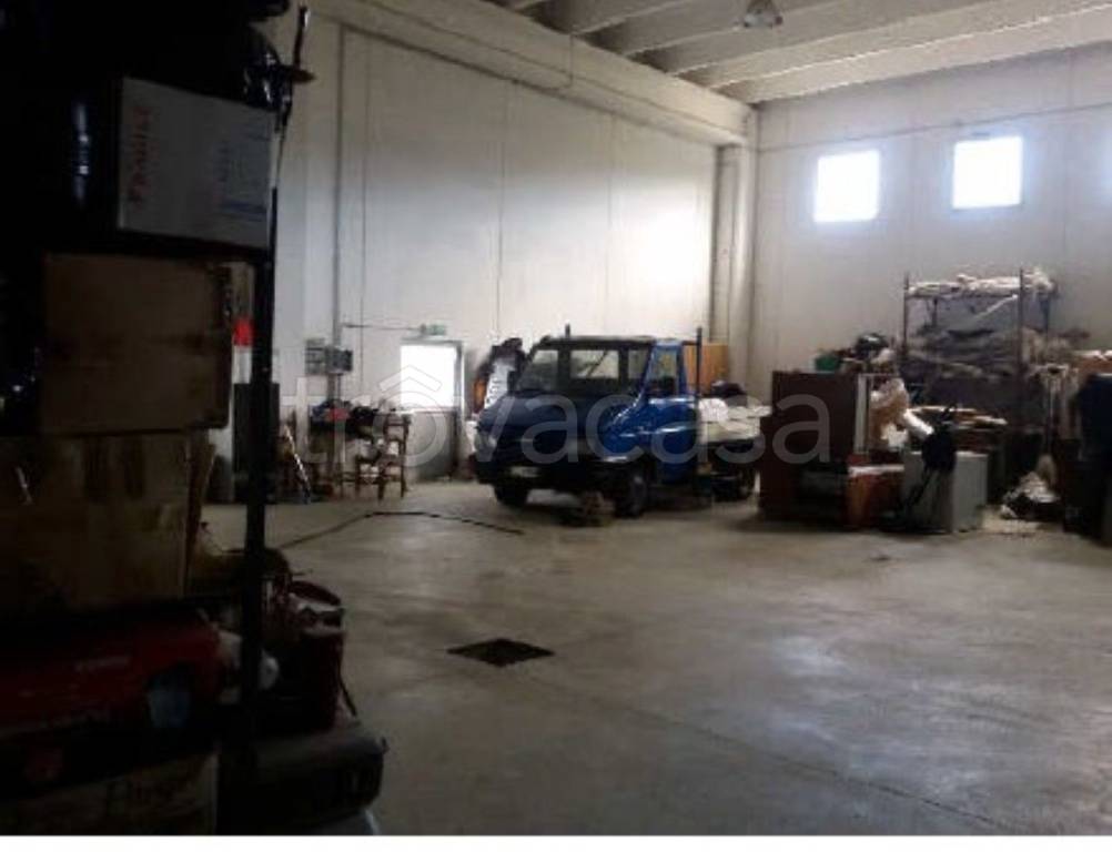 immagine annuncio 2 di 12