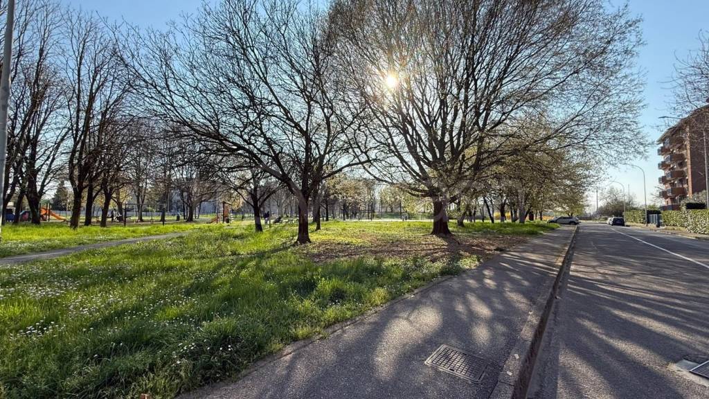 immagine annuncio 1 di 12