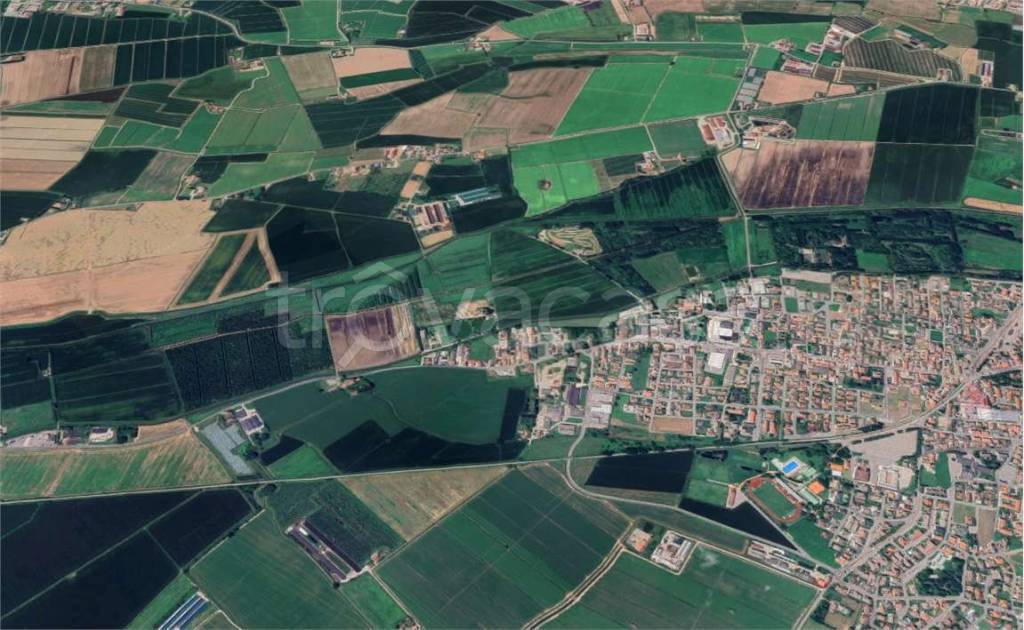 immagine annuncio 12 di 13