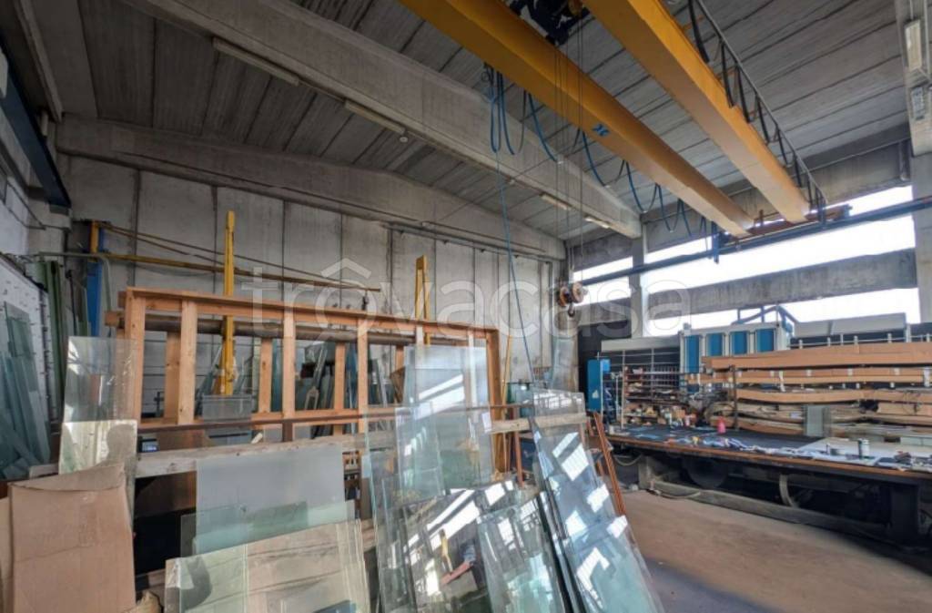 immagine annuncio 9 di 13