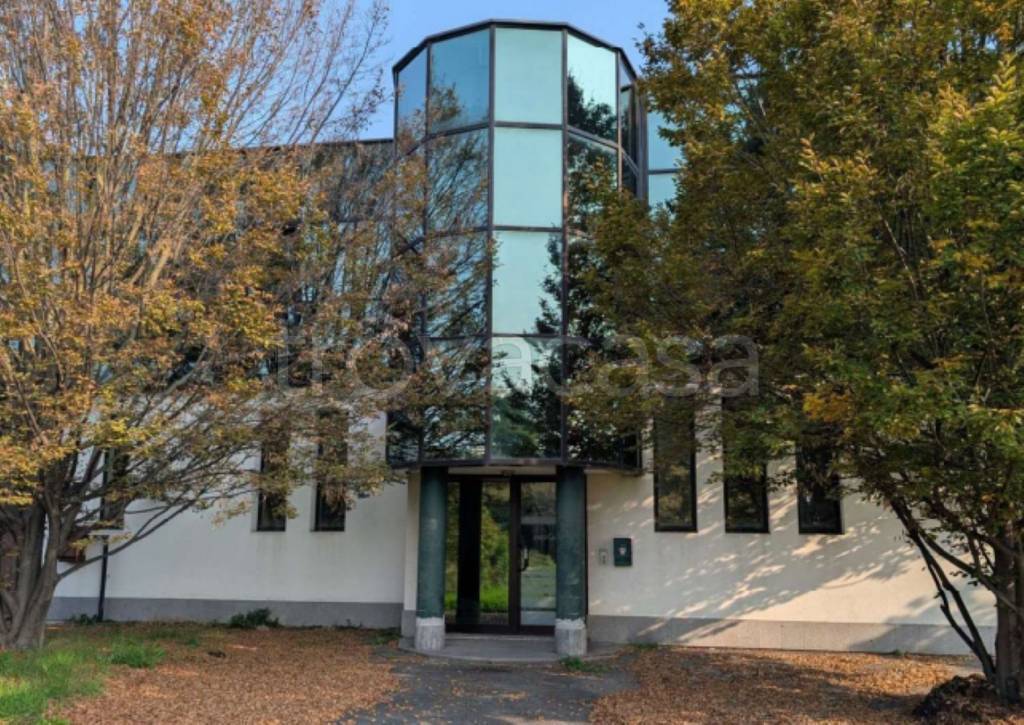 immagine annuncio 12 di 13