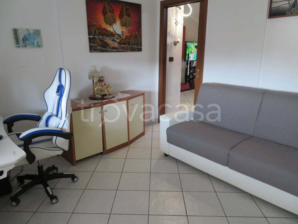 immagine annuncio 9 di 15