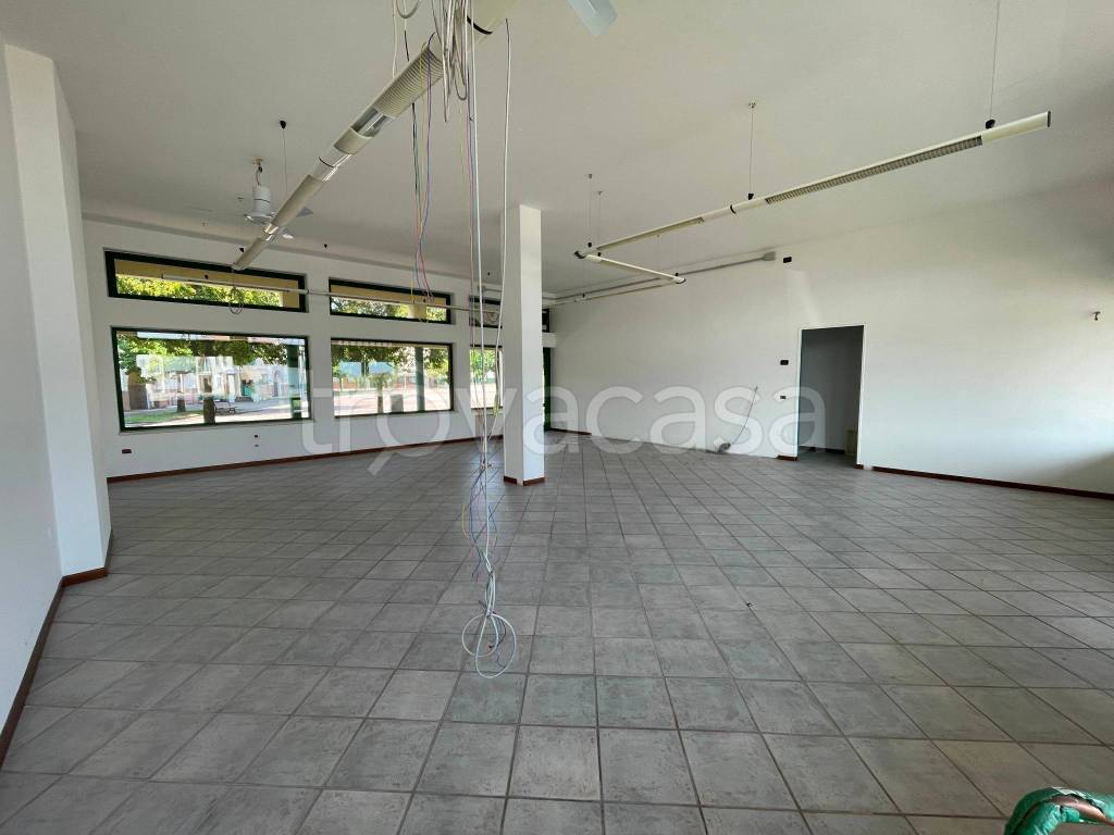 immagine annuncio 2 di 8