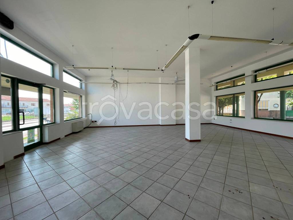 immagine annuncio 5 di 8