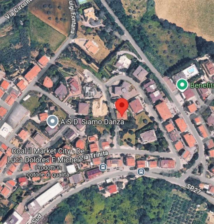 immagine annuncio 9 di 14