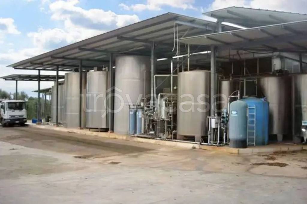 immagine annuncio 5 di 12