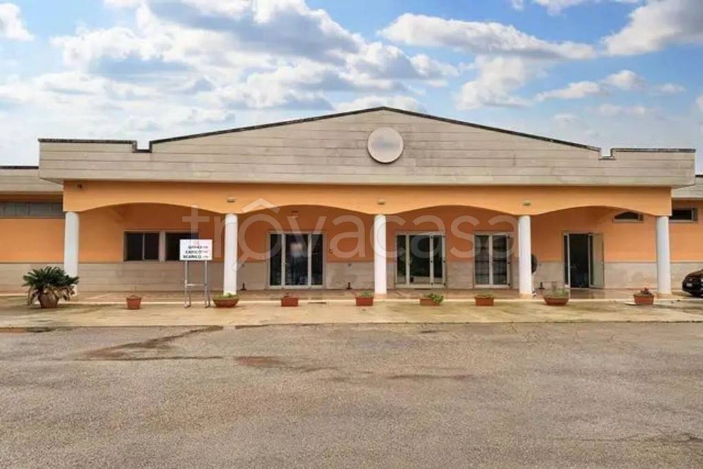 immagine annuncio 10 di 12