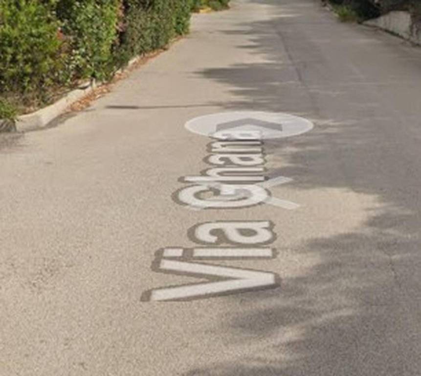 immagine annuncio 11 di 14