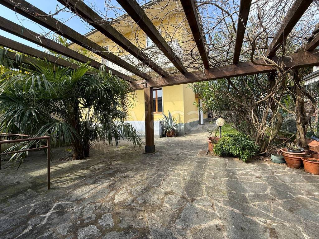 immagine annuncio 3 di 15