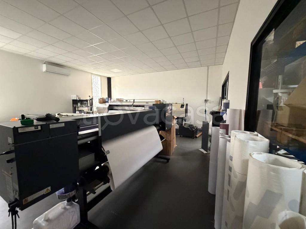 immagine annuncio 2 di 12