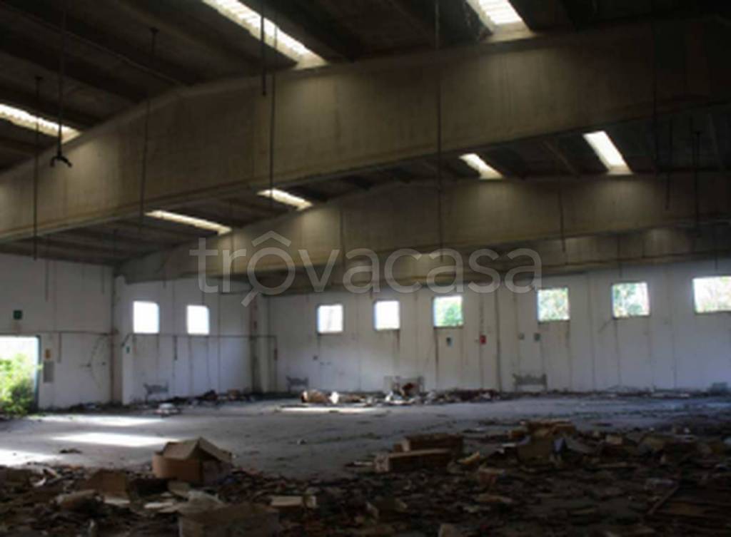 immagine annuncio 9 di 11