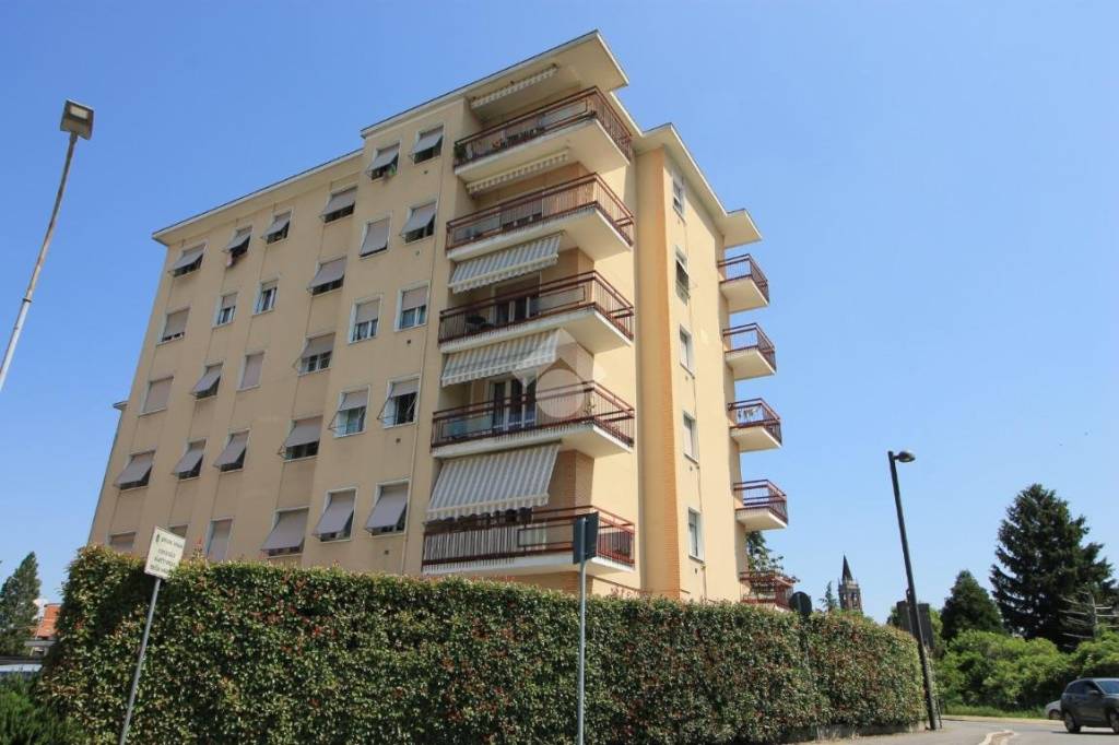 immagine annuncio 12 di 13