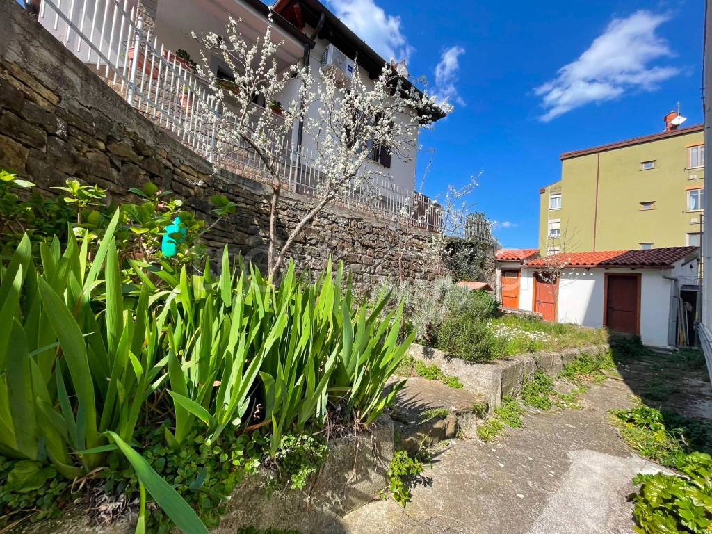 immagine annuncio 2 di 12