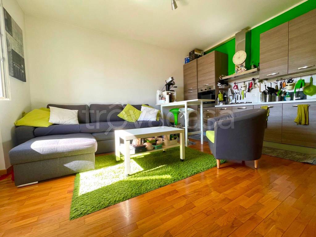 immagine annuncio 5 di 12